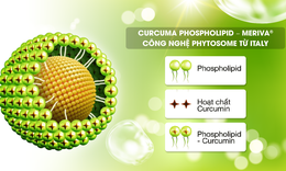 Giải ph&#225;p hỗ trợ từ Curcuma Phospholipid d&#224;nh cho người vi&#234;m đại tr&#224;ng