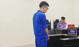 Nhân viên bán rẻ ắc quy tham ô hơn 5,2 tỉ đồng
