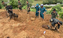 Danh t&#237;nh 11 nạn nh&#226;n tử vong vụ sạt lở đất v&#249;i lấp xe kh&#225;ch ở H&#224; Giang