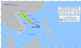&#193;p thấp nhiệt đới mạnh l&#234;n th&#224;nh b&#227;o, chuẩn bị c&#225;c phương &#225;n ứng ph&#243;