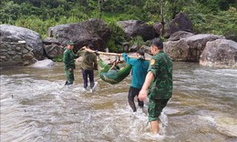 Kịp thời cứu sống người đ&#224;n &#244;ng bị rơi xuống vực trong rừng