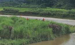 Gần 100 người t&#236;m kiếm người đ&#224;n &#244;ng ở Y&#234;n B&#225;i mất t&#237;ch