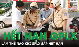 Giấy ph&#233;p l&#225;i xe hết hạn nhưng đang bị giữ th&#236; l&#224;m c&#225;ch n&#224;o?