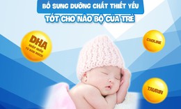 Cách hỗ trợ phát triển não bộ cho trẻ đúng cách
