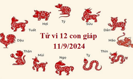 Tử vi 12 con gi&#225;p h&#244;m nay 11/9/2024: T&#253; kh&#243; khăn, Ngọ thuận lợi