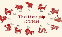 Tử vi 12 con gi&#225;p h&#244;m nay 12/9/2024: Sửu t&#237;ch cực, Dần biến động