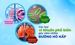 Xu hướng t&#236;m đến dược liệu tự nhi&#234;n trong hỗ trợ vi&#234;m nhiễm đường h&#244; hấp