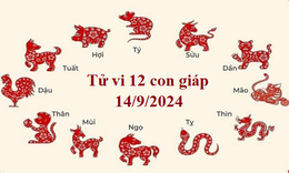 Tử vi 12 con gi&#225;p h&#244;m nay 14/9/2024: Tỵ t&#237;ch cực, Hợi may mắn