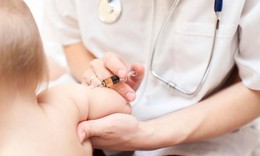 Câu hỏi thường gặp liên quan đến viêm não Nhật Bản