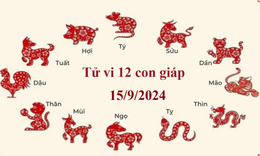 Tử vi 12 con gi&#225;p h&#244;m nay 15/9/2024: Sửu ổn định, Th&#236;n c&#243; tin vui