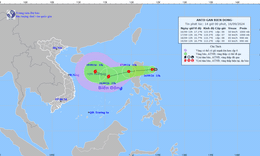 &#193;p thấp nhiệt đới sẽ mạnh l&#234;n th&#224;nh b&#227;o tr&#234;n Biển Đ&#244;ng với gi&#243; giật cấp 10