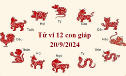 Tử vi 12 con gi&#225;p h&#244;m nay 20/9/2024: Th&#236;n nhẹ nh&#224;ng, Hợi mệt mỏi