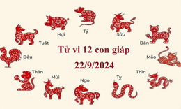 Tử vi 12 con gi&#225;p h&#244;m nay 22/9/2024: Sửu t&#237;ch cực, Th&#236;n rực rỡ