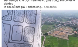 Bộ X&#226;y dựng: Thao t&#250;ng đấu gi&#225; đất mang t&#237;nh tổ chức