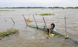 Lũ ch&#237;nh vụ Đồng bằng s&#244;ng Cửu Long khả năng sẽ đạt đỉnh từ ng&#224;y 30/9 - 2/10