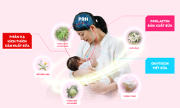 Các thảo dược hỗ trợ lợi sữa cho mẹ sau sinh