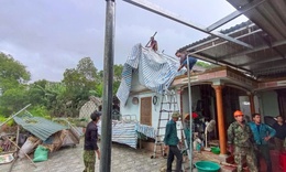 Lốc xoáy khiến nhà dân bị tốc mái, cây cối gãy đổ