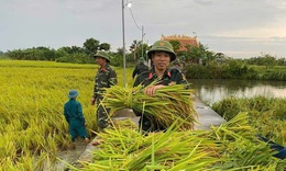 Bộ đội gi&#250;p d&#226;n &#39;chạy&#39; b&#227;o số 3