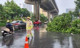 B&#227;o chưa về, c&#226;y xanh đ&#227; đổ la liệt ở H&#224; Nội