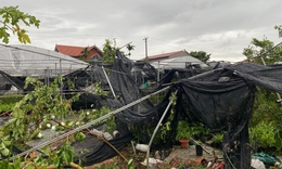 Tan hoang sau b&#227;o Yagi, n&#244;ng d&#226;n Hưng Y&#234;n thất thần lo &#39;mất&#39; Tết
