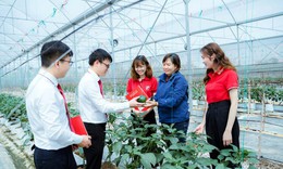 Cần sớm công bố điều kiện tiếp cận gói tín dụng 110.000 tỷ đồng