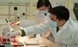 Người giám định tư pháp theo vụ việc trong lĩnh vực y tế cần những điều kiện gì?