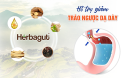 Herbagut – Chiết xuất từ 14 thảo dược tốt cho người bị tr&#224;o ngược dạ d&#224;y