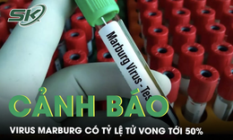 8 người tử vong nghi nhiễm virus Marburg, WHO đưa ra cảnh b&#225;o nguy cơ l&#226;y lan