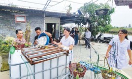 Phòng chống dịch sau bão: Cuộc chạy đua thần tốc