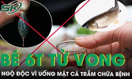 B&#233; trai 6 tuổi tử vong do ngộ độc khi uống mật c&#225; trắm chữa bệnh