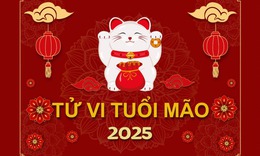 Tử vi tuổi M&#227;o 2025: Một năm c&#243; hung c&#243; c&#225;t, c&#243; tốt c&#243; xấu