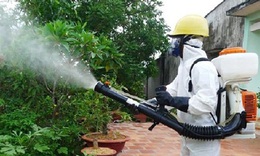 Gia tăng sốt xuất huyết mùa mưa và những dấu hiệu cần đặc biệt lưu ý