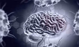 5 b&#224;i tập gi&#250;p r&#232;n luyện tr&#237; n&#227;o, tăng cường tr&#237; nhớ v&#224; khả năng tập trung