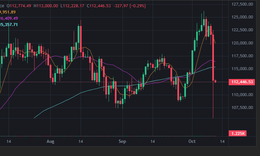 Tiền điện tử &#39;bị thảm s&#225;t&#39;, lao dốc kinh ho&#224;ng