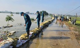 Các tuyến đê đã ngâm nước nhiều ngày, nguy cơ rất
cao tiếp tục xảy ra sự cố