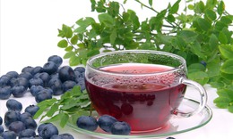 6 loại trà thảo mộc hỗ trợ điều trị viêm đường tiết niệu tại nhà