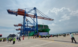 Đoàn đại biểu Đại hội Đảng bộ TPHCM phấn khởi khi 'mục sở thị' cảng quốc tế Gemalink và KCN chuyên sâu Phú Mỹ 3