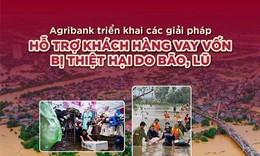 Agribank giảm tới 2%/năm l&#227;i suất cho vay hỗ trợ kh&#225;ch h&#224;ng bị ảnh hưởng, thiệt hại do b&#227;o, lũ