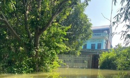 Bắc Ninh công bố tình huống khẩn cấp sự cố đê trên sông Cầu, sông Thương và sông Cà Lồ