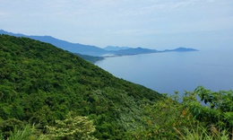 Huế lập khu bảo vệ cảnh quan bảo tồn động vật quý hiếm, đặc hữu