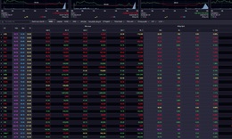 VN-Index ch&#236;m trong sắc đỏ ở phi&#234;n điều chỉnh thứ 2