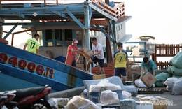 Buổi s&#225;ng ở quần đảo Nam Du