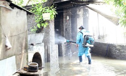 5 cách chủ động phòng bệnh do muỗi sau lũ