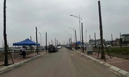 Đề xuất đấu gi&#225; rồi bỏ cọc bị cấm tham gia đến 5 năm