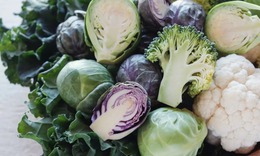 5 thực phẩm gi&#224;u DHA gi&#250;p trẻ ph&#225;t triển tr&#237; n&#227;o vượt trội