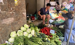 B&#224; nội trợ H&#224; Nội cho&#225;ng với gi&#225; rau muống 20.000 đồng/b&#243;