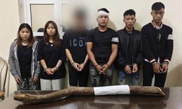 Rủ bạn g&#225;i đi đ&#225;nh nhau để giải quyết m&#226;u thuẫn