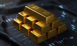 Đề nghị truy tố Chủ tịch C&#244;ng ty V&#224;ng Việt Nam trong vụ bu&#244;n lậu v&#224;ng hơn 1.200 tỷ đồng