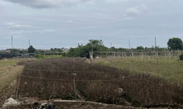 Cảnh tiêu điều tại làng hoa Tây Tựu, nhiều hộ dân mất trắng sau ngập lụt