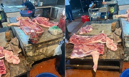 H&#224; Nội: Triệt ph&#225; đường d&#226;y mua b&#225;n hơn 61 tấn lợn nhiễm dịch bệnh l&#224;m thực phẩm